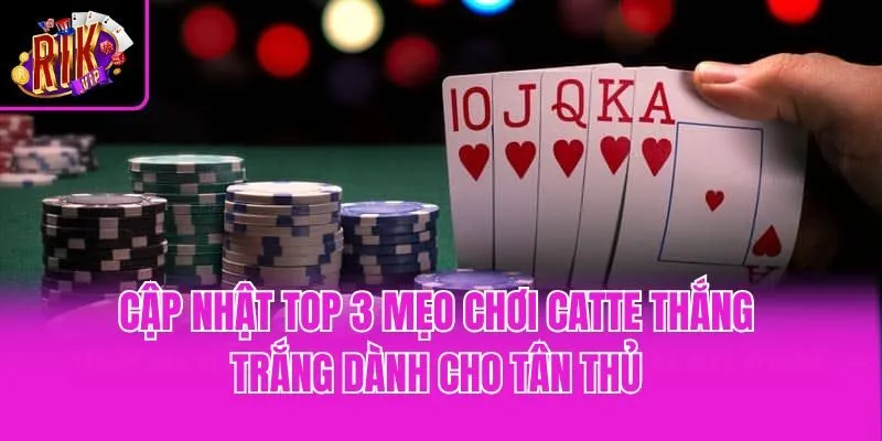 Cập nhật top 3 mẹo chơi Catte thắng trắng dành cho tân thủ