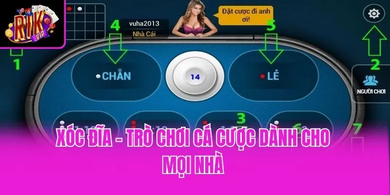 Xóc đĩa - Trò chơi cá cược dành cho mọi nhà